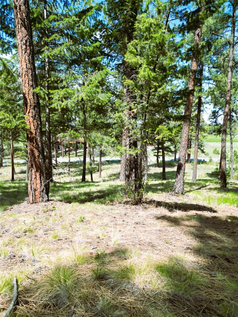 Lot 9 Wilderness Club Drive Eureka MT 59917