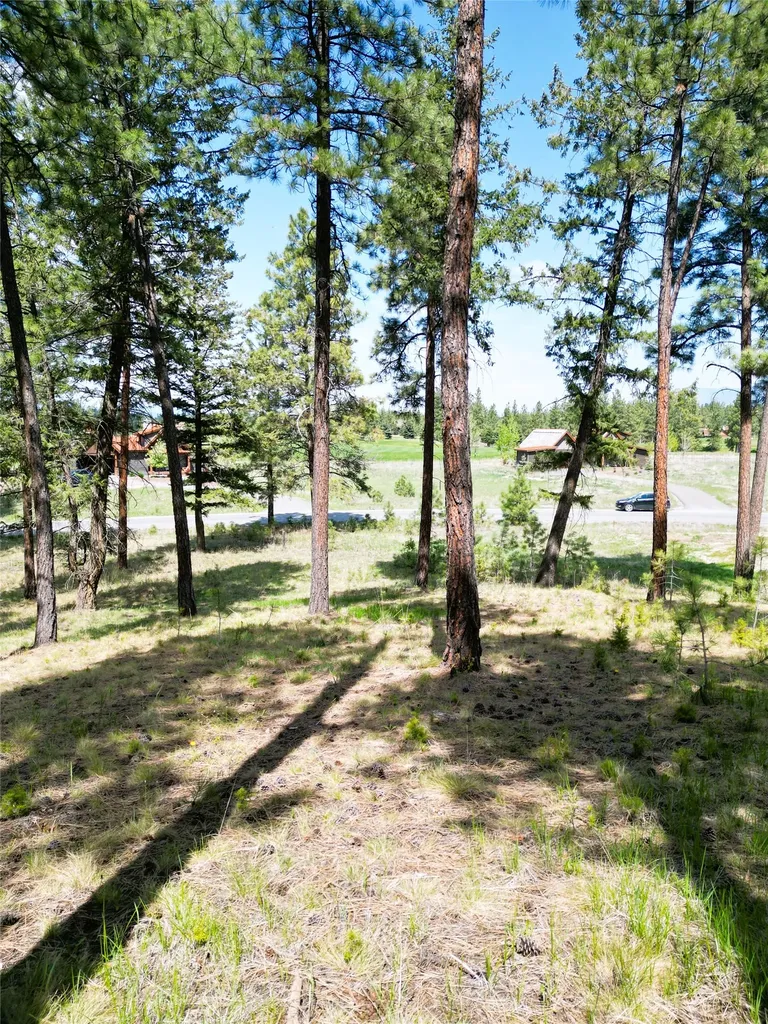 Lot 9 Wilderness Club Drive Eureka MT 59917