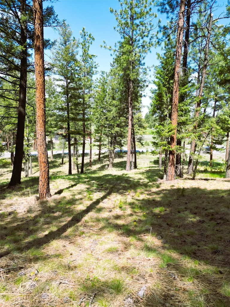 Lot 9 Wilderness Club Drive Eureka MT 59917