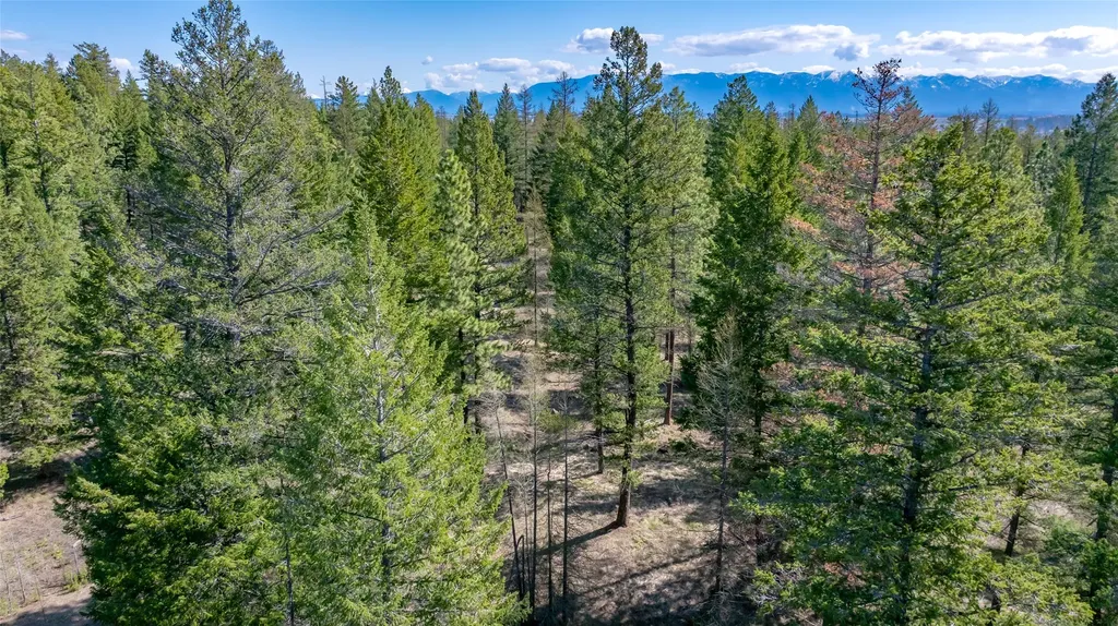 380 Viano Lane Kalispell MT 59901