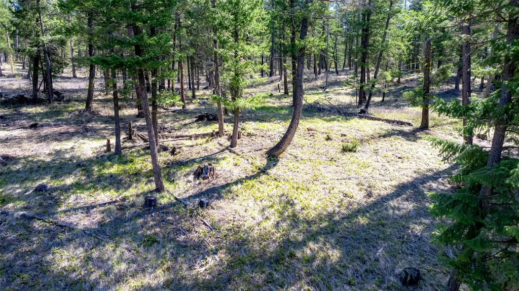 380 Viano Lane Kalispell MT 59901