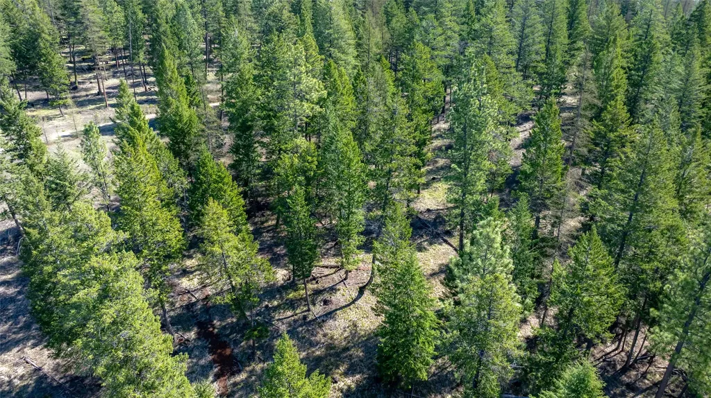 380 Viano Lane Kalispell MT 59901