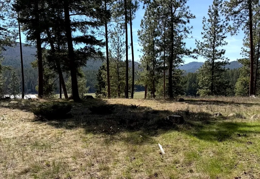 380 Viano Lane Kalispell MT 59901