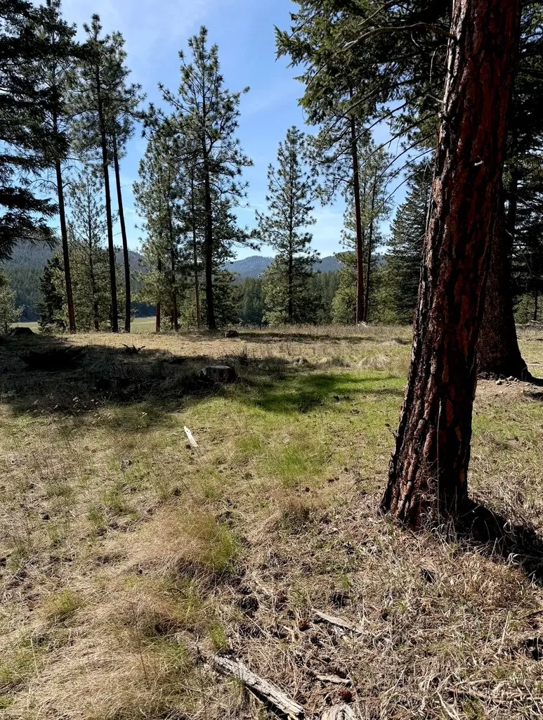 380 Viano Lane Kalispell MT 59901