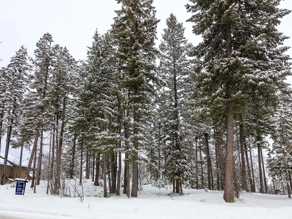 128 Ridge Run Drive Whitefish MT 59937