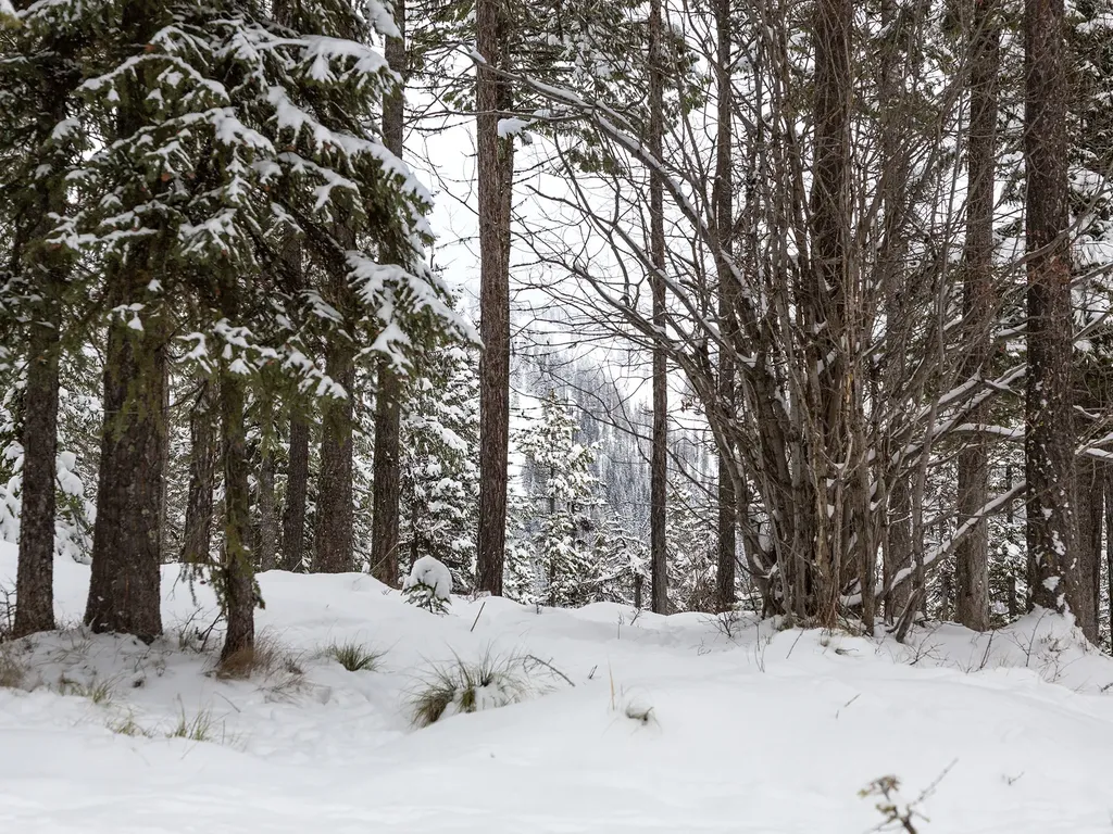 128 Ridge Run Drive Whitefish MT 59937