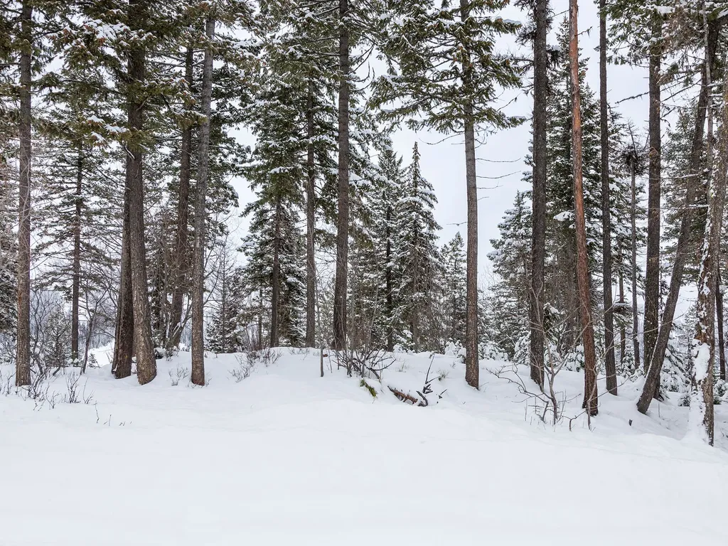 128 Ridge Run Drive Whitefish MT 59937