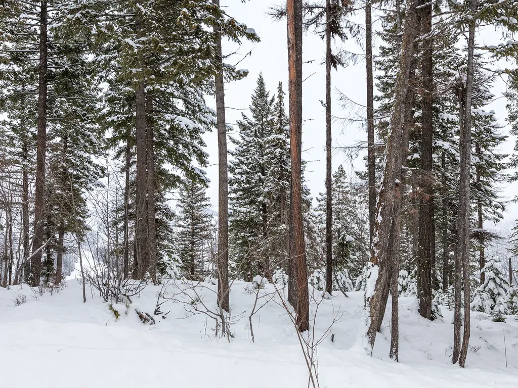 128 Ridge Run Drive Whitefish MT 59937