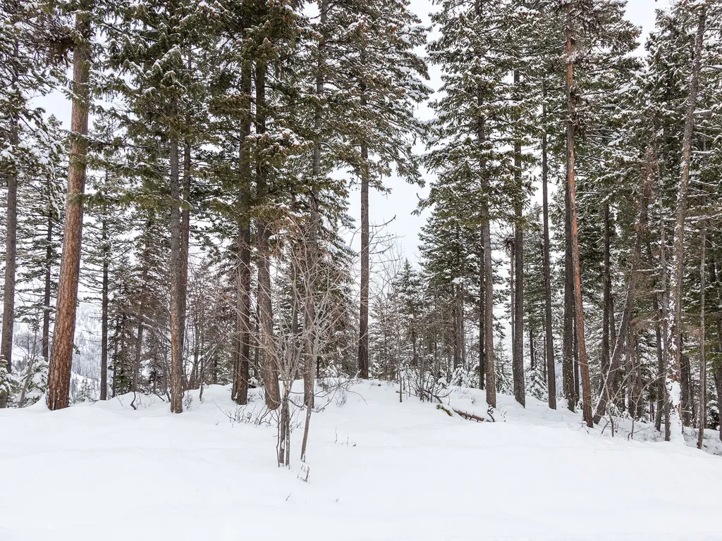 128 Ridge Run Drive Whitefish MT 59937