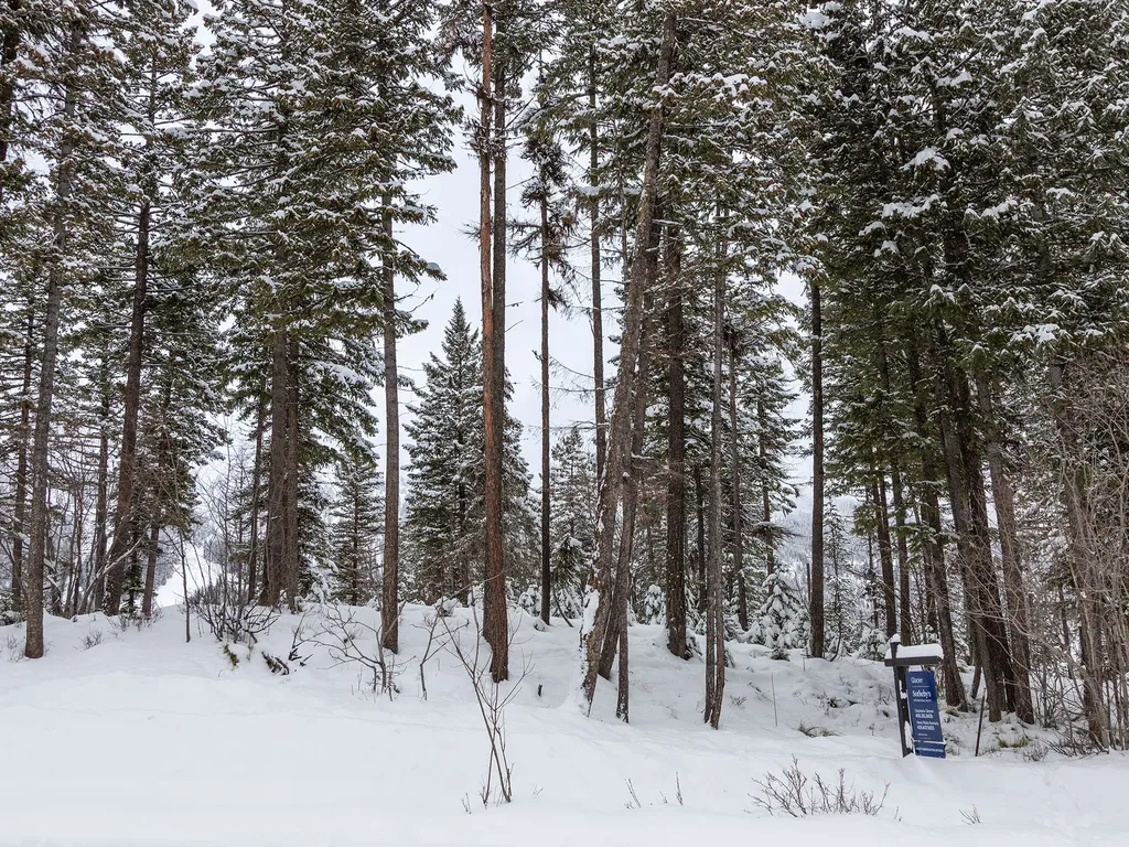 128 Ridge Run Drive Whitefish MT 59937