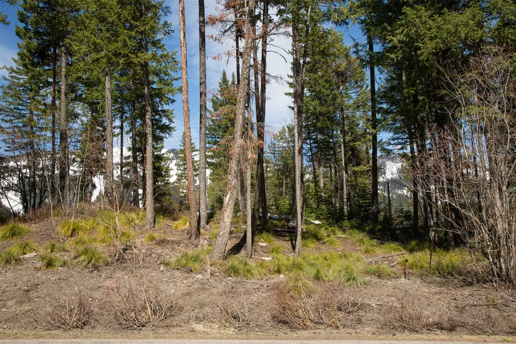 128 Ridge Run Drive Whitefish MT 59937