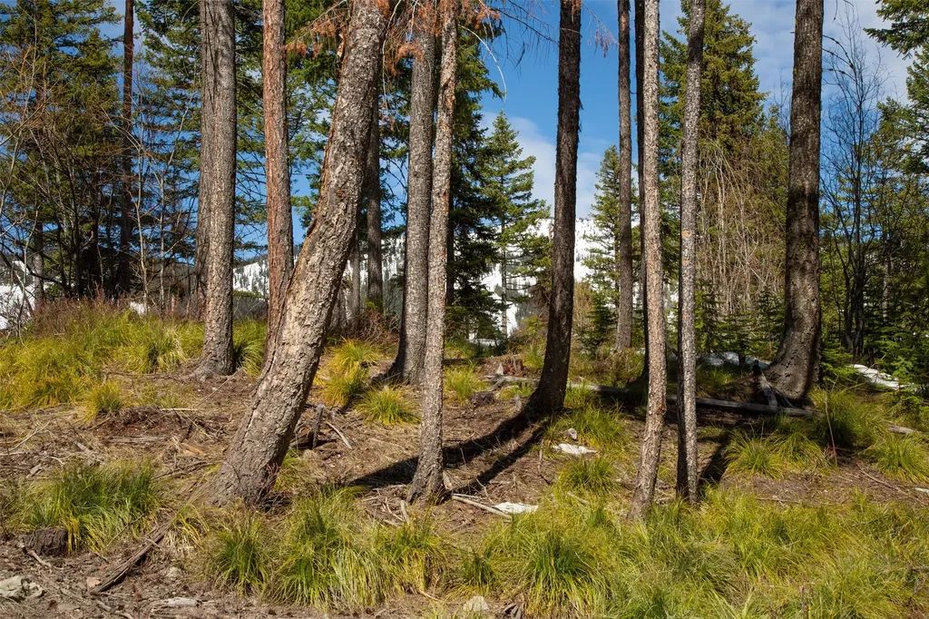 128 Ridge Run Drive Whitefish MT 59937
