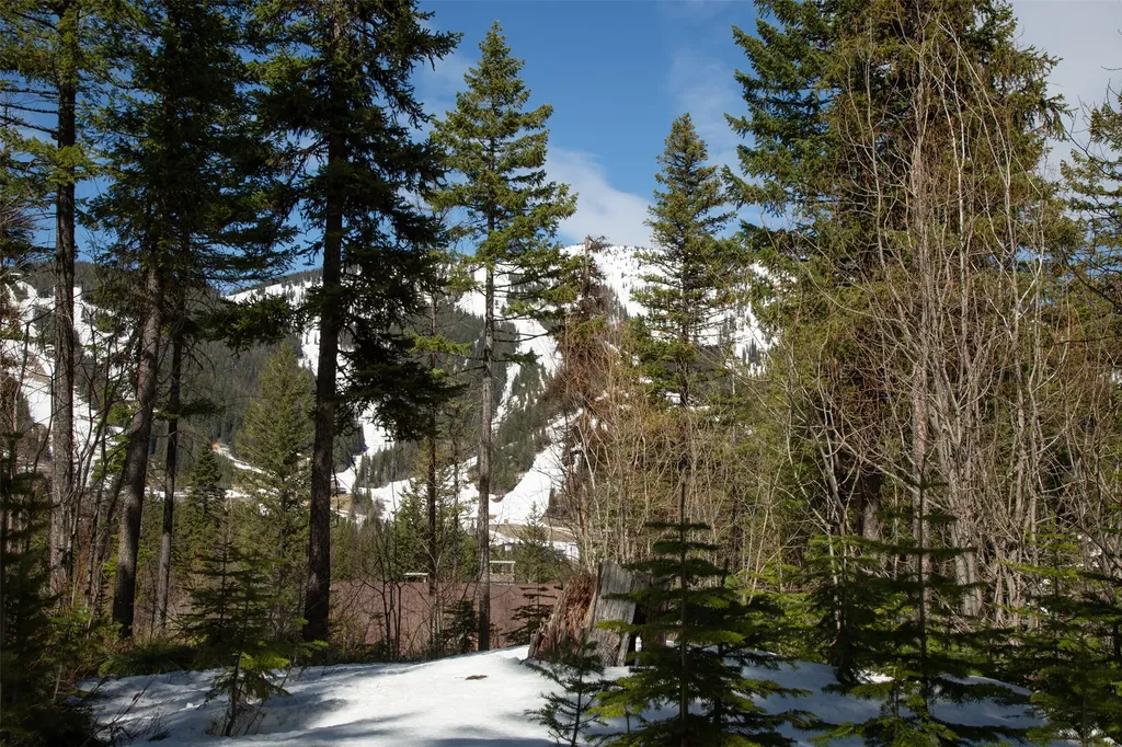 128 Ridge Run Drive Whitefish MT 59937