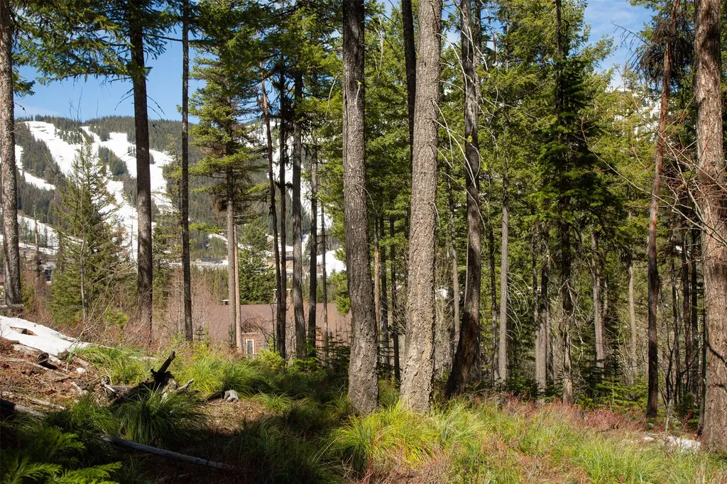 128 Ridge Run Drive Whitefish MT 59937