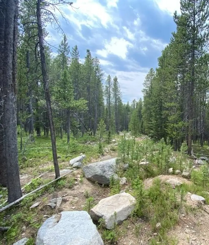 Nhn Michael Davitt Granite Access Road Philipsburg MT 59858