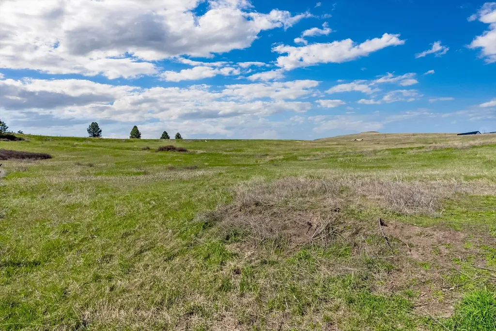 Nhn O'keefe Creek Boulevard Missoula MT 59808
