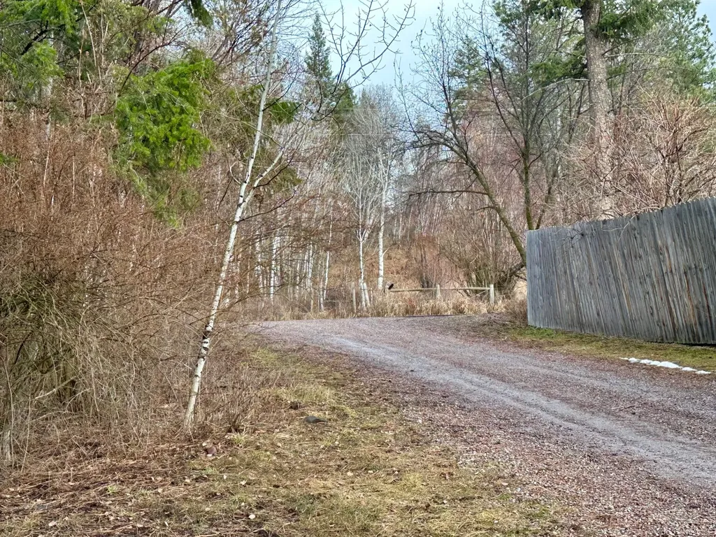 41510 Canal Road Ronan MT 59864