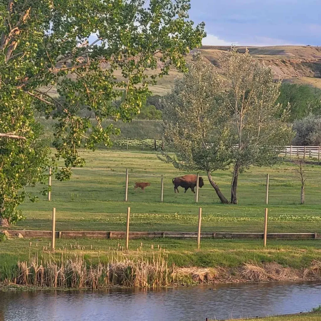 1140 5th Avenue Vaughn MT 59487