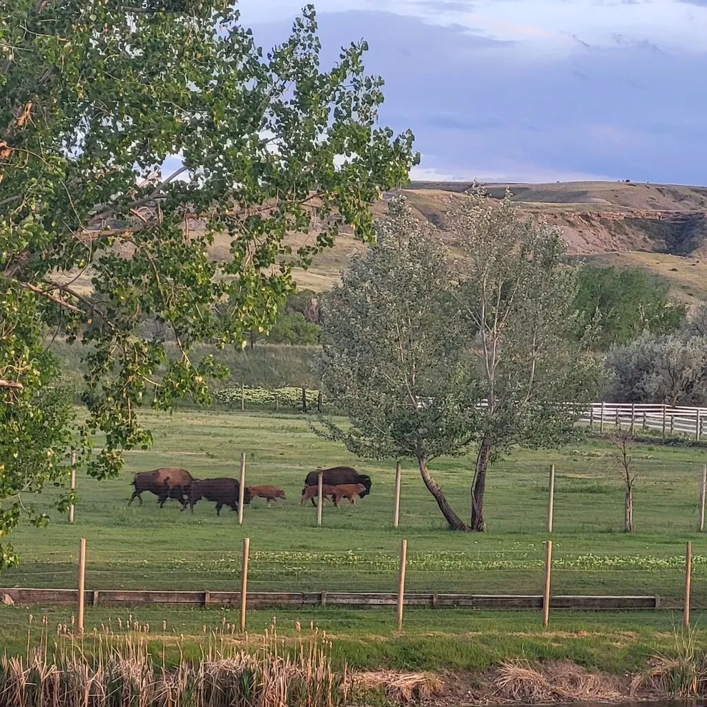 1140 5th Avenue Vaughn MT 59487