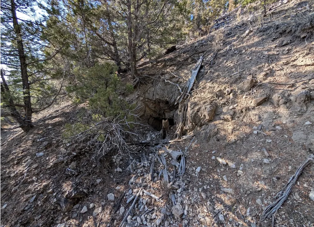 White Horse Lode Tbd Philipsburg MT 59858