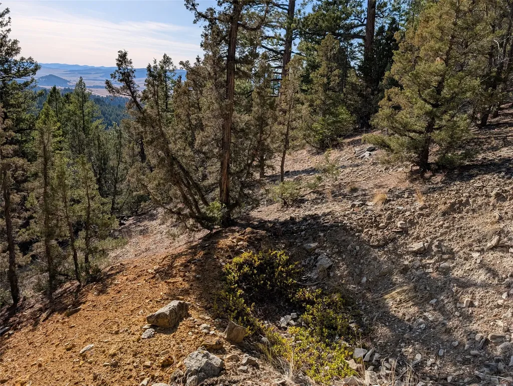 White Horse Lode Tbd Philipsburg MT 59858