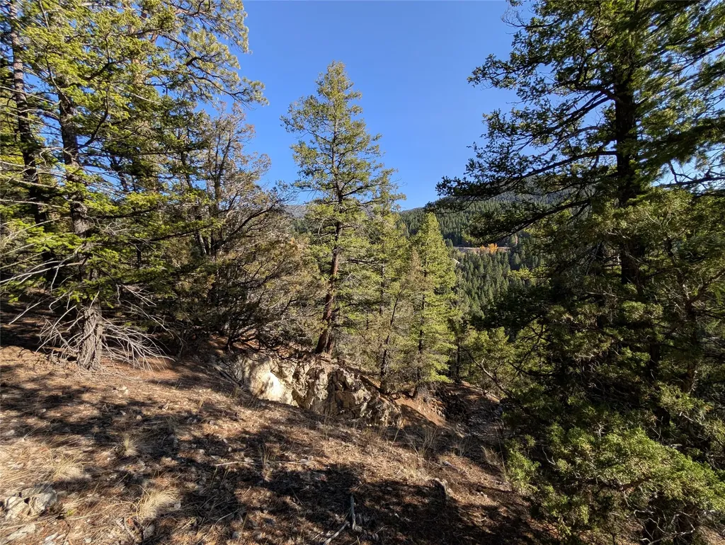 White Horse Lode Tbd Philipsburg MT 59858