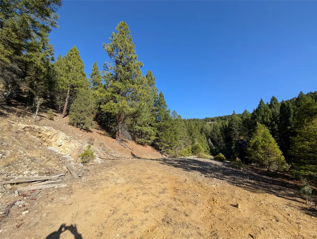 White Horse Lode Tbd Philipsburg MT 59858
