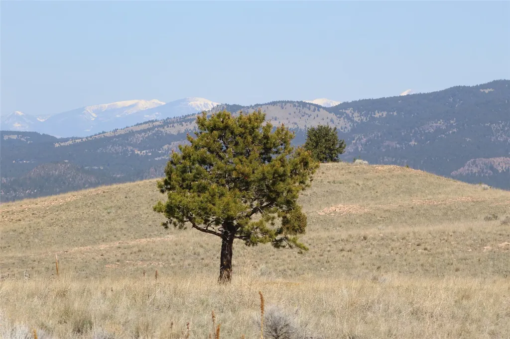 Tbd Tbd Butte MT 59701