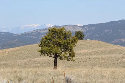 TBD Tbd Butte MT 59701