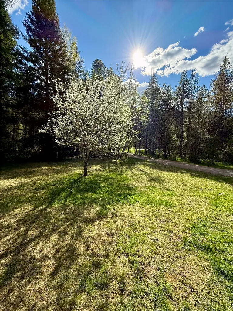 12437 Us Highway 2 Troy MT 59935