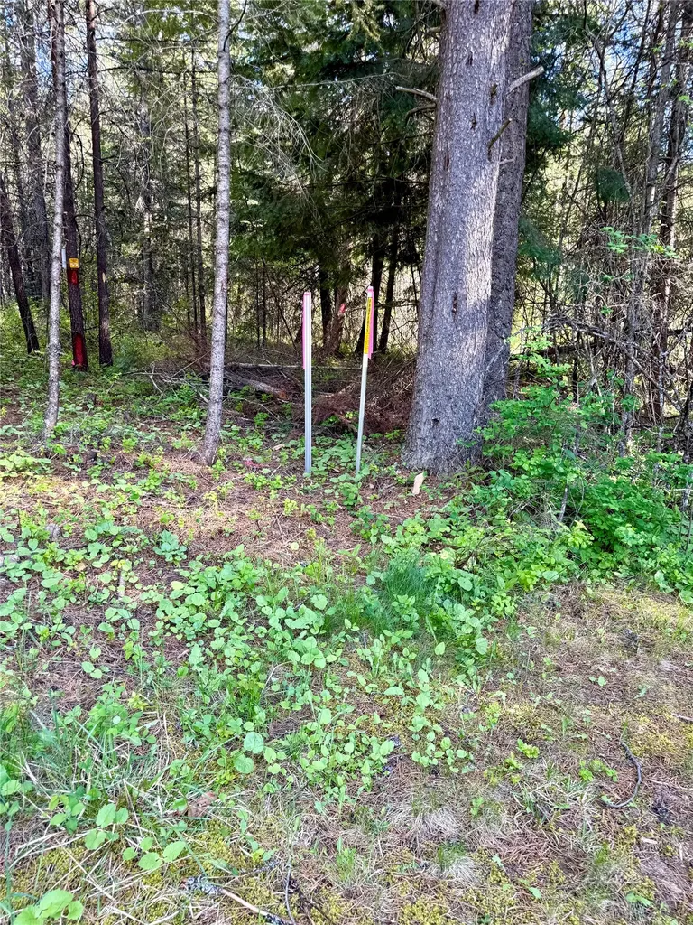 12437 Us Highway 2 Troy MT 59935