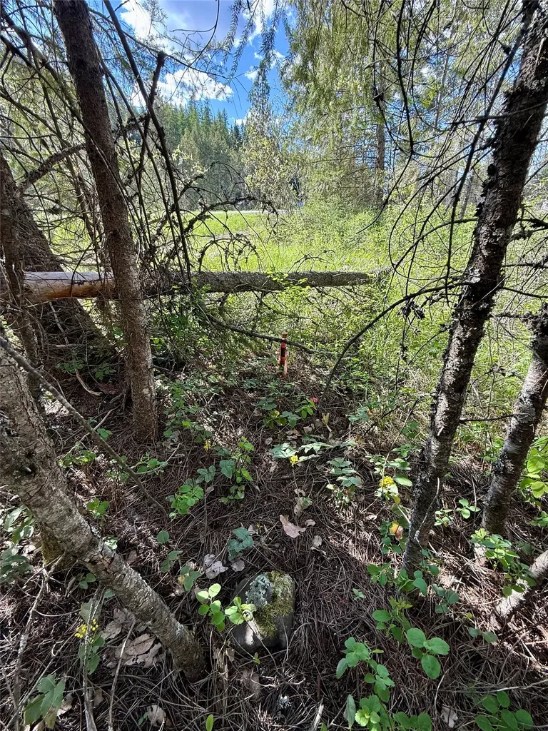 12437 Us Highway 2 Troy MT 59935
