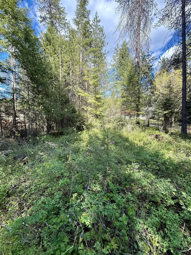 12437 Us Highway 2 Troy MT 59935