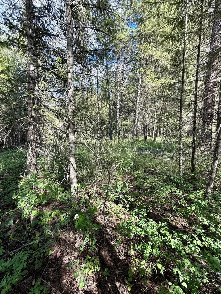 12437 Us Highway 2 Troy MT 59935
