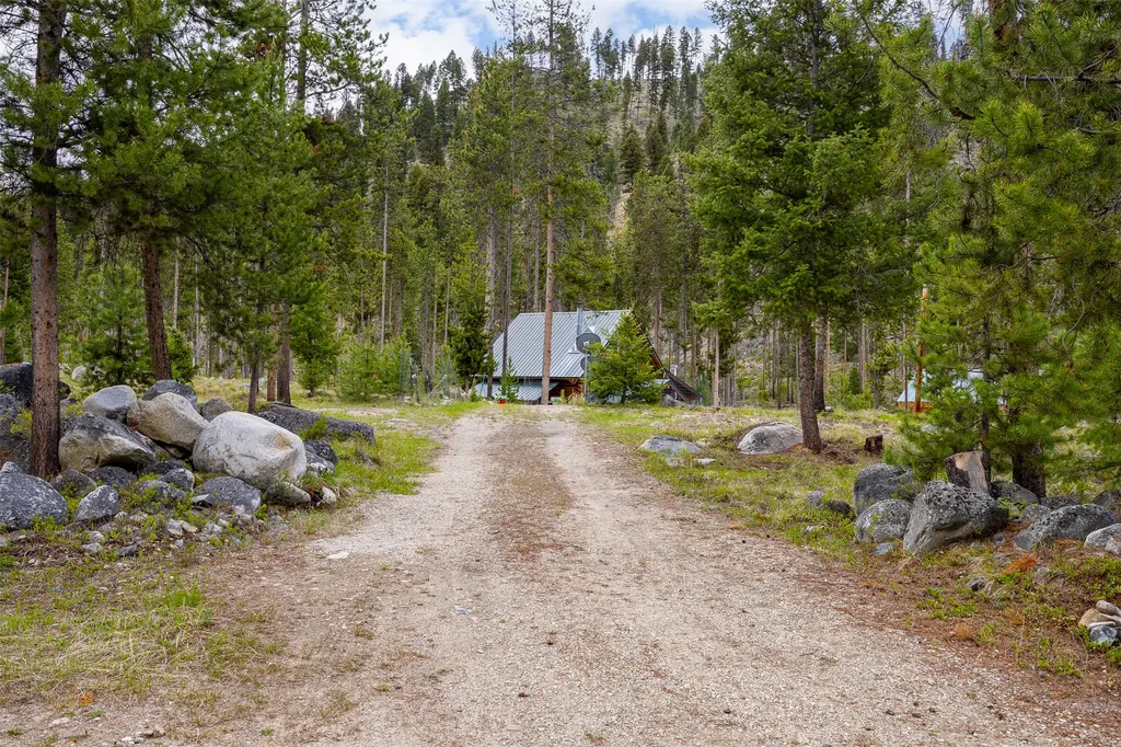 1441 Bonanza Drive Sula MT 59871