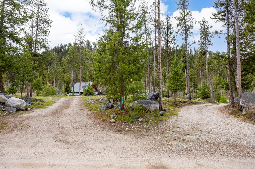 1441 Bonanza Drive Sula MT 59871