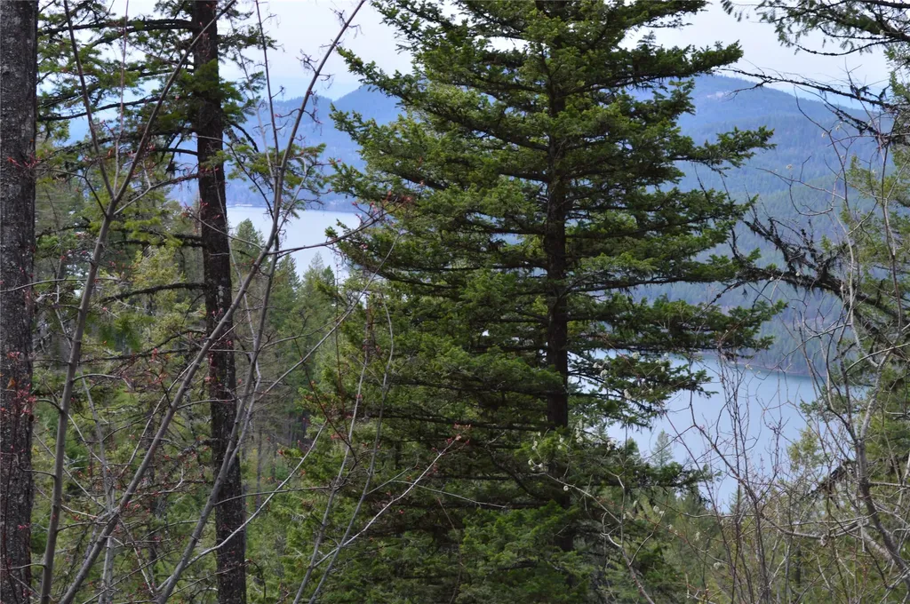 Nhn E Lakeshore Drive Whitefish MT 59937