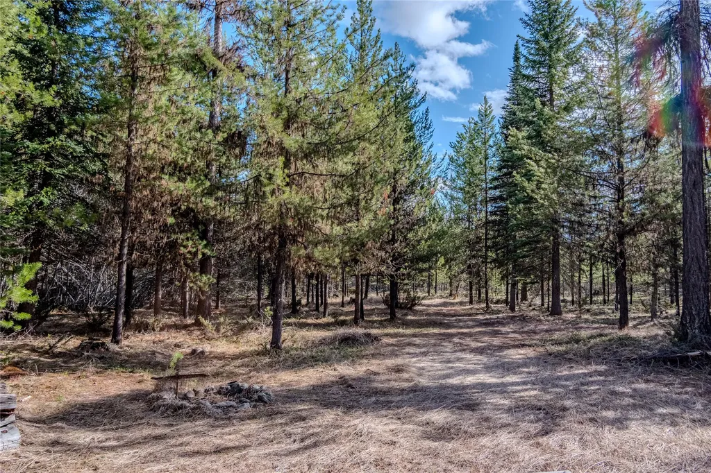 1656 N Fork Yaak Road Troy MT 59935