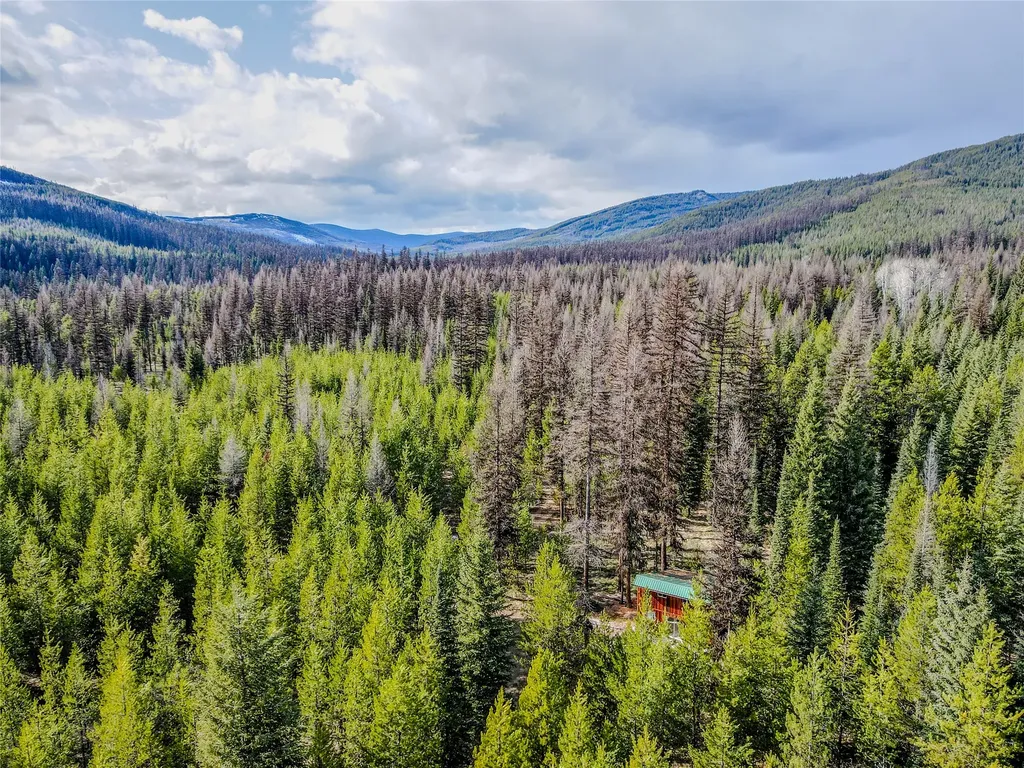 1656 N Fork Yaak Road Troy MT 59935