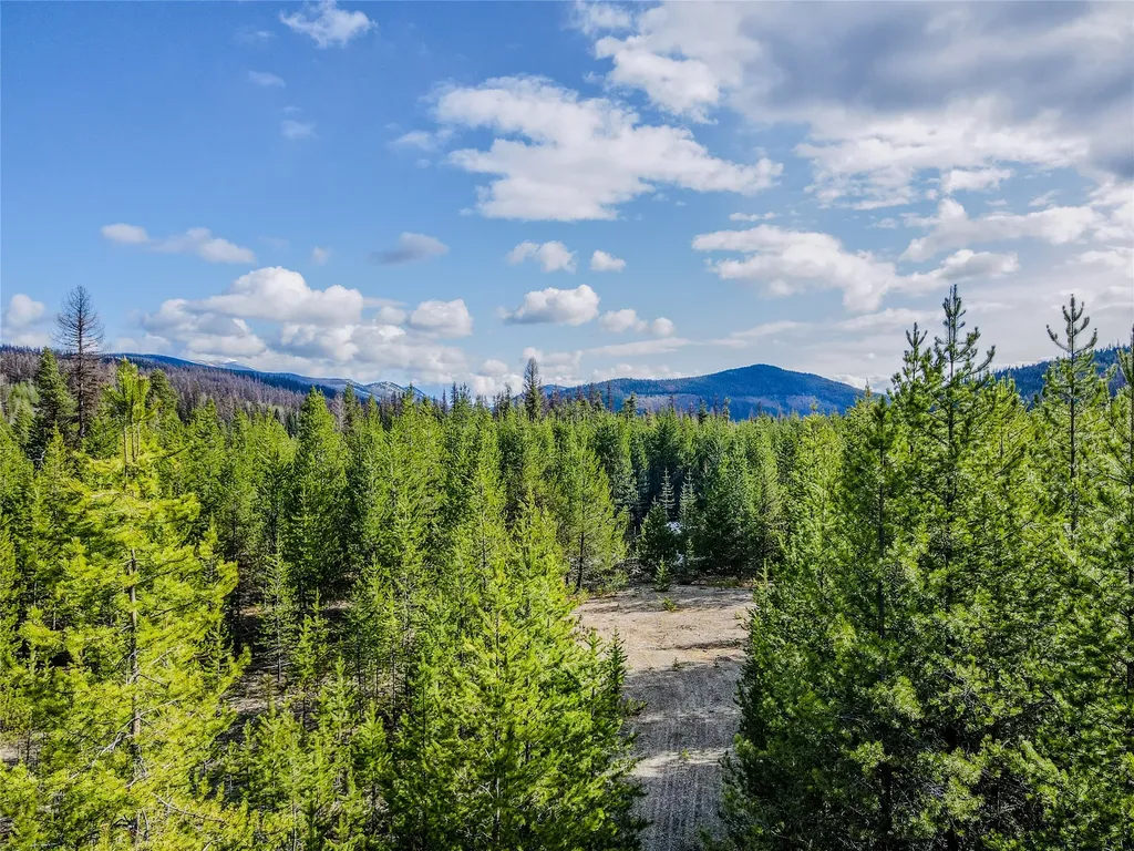 1656 N Fork Yaak Road Troy MT 59935