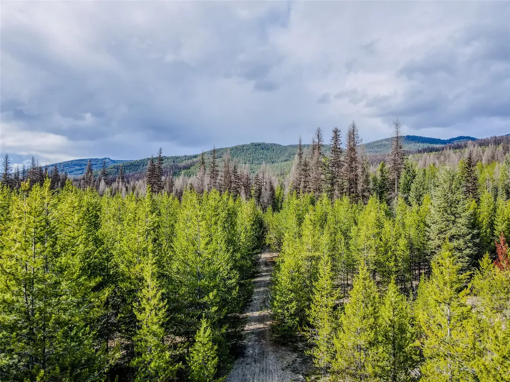 1656 N Fork Yaak Road Troy MT 59935
