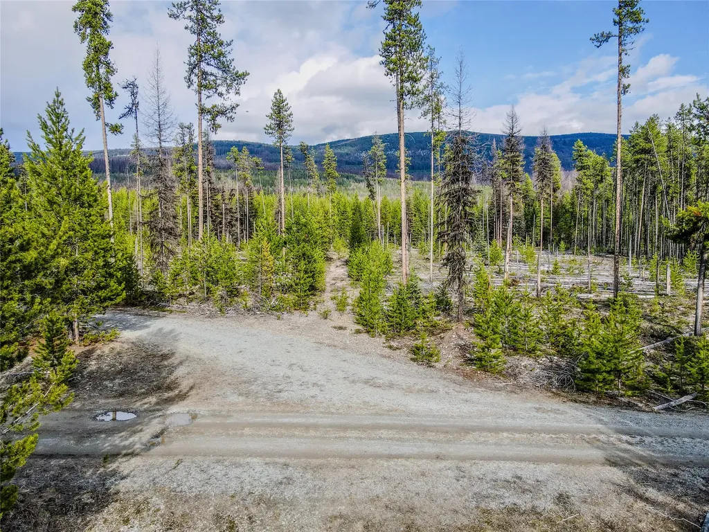 1656 N Fork Yaak Road Troy MT 59935