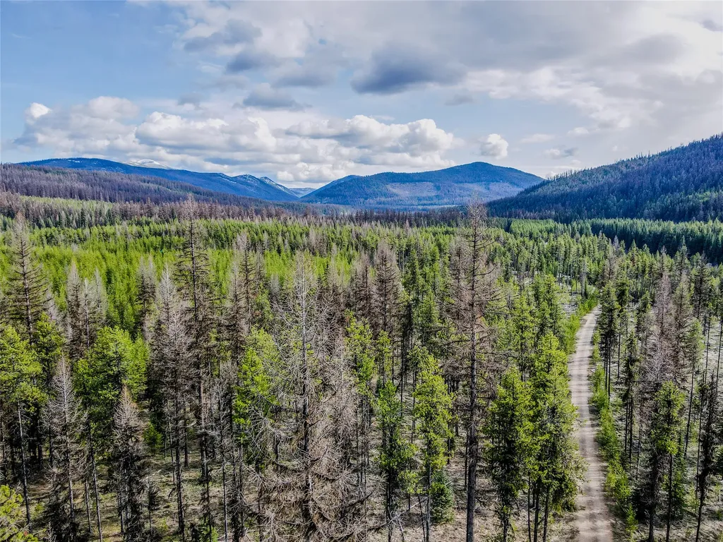 1656 N Fork Yaak Road Troy MT 59935