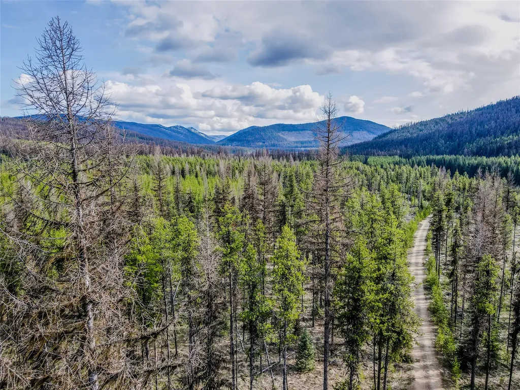 1656 N Fork Yaak Road Troy MT 59935