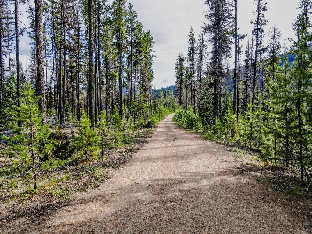 1656 N Fork Yaak Road Troy MT 59935