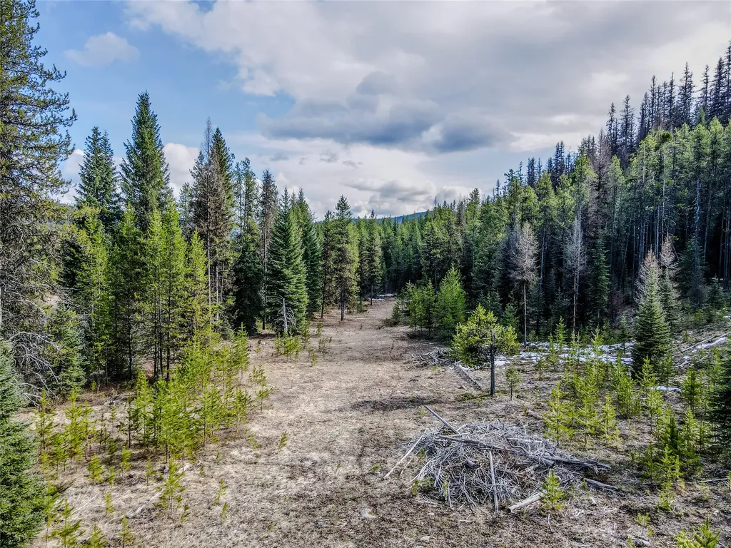 1656 N Fork Yaak Road Troy MT 59935
