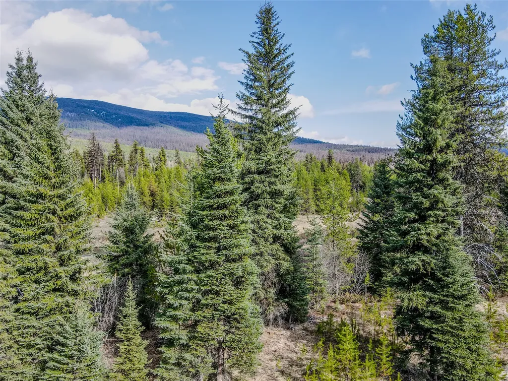 1656 N Fork Yaak Road Troy MT 59935
