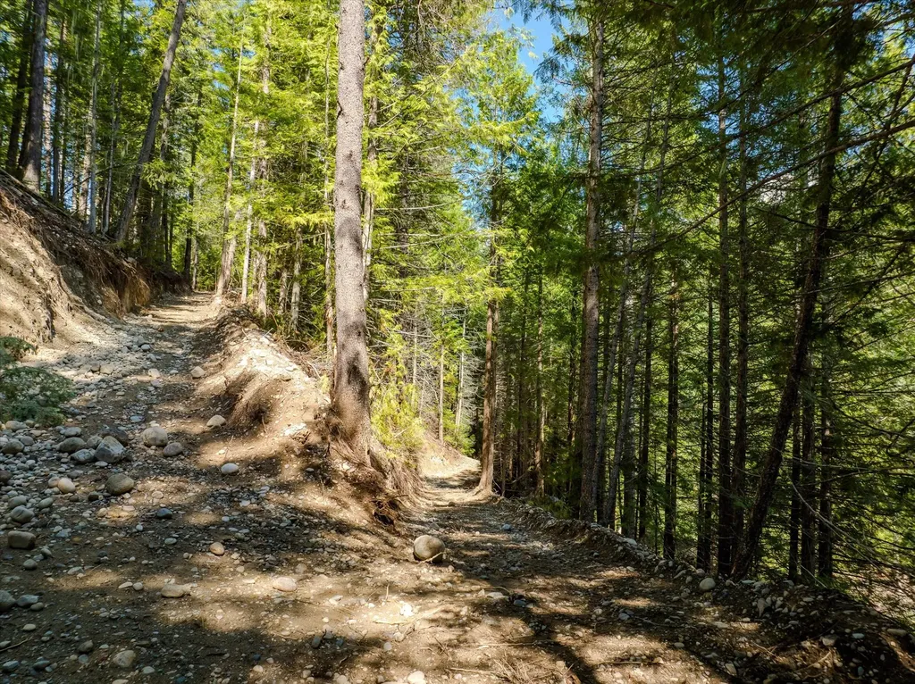 8556 Yaak River Road Troy MT 59935