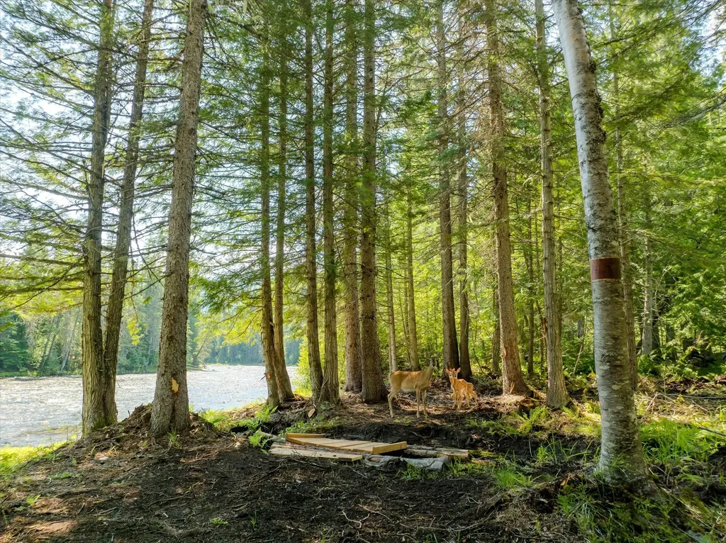 8556 Yaak River Road Troy MT 59935