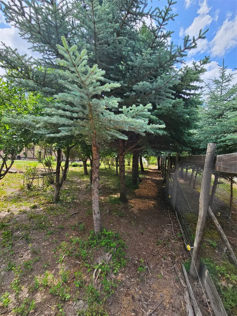 64 Ponderosa Lane Thompson Falls MT 59873